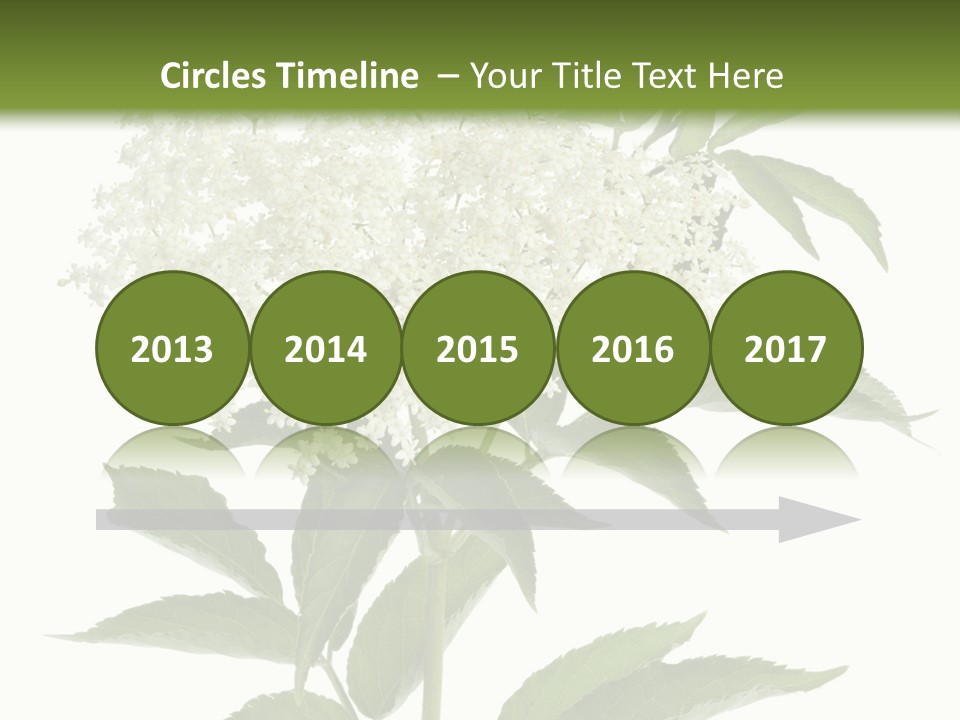 Nature Studio Sambucus Nigra PowerPoint Template