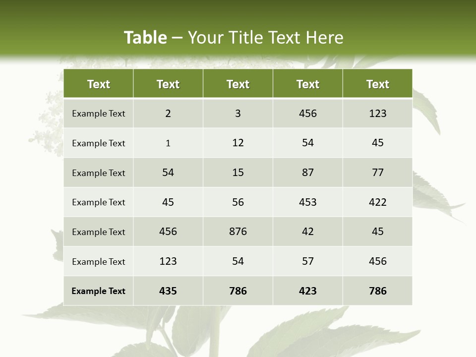 Nature Studio Sambucus Nigra PowerPoint Template