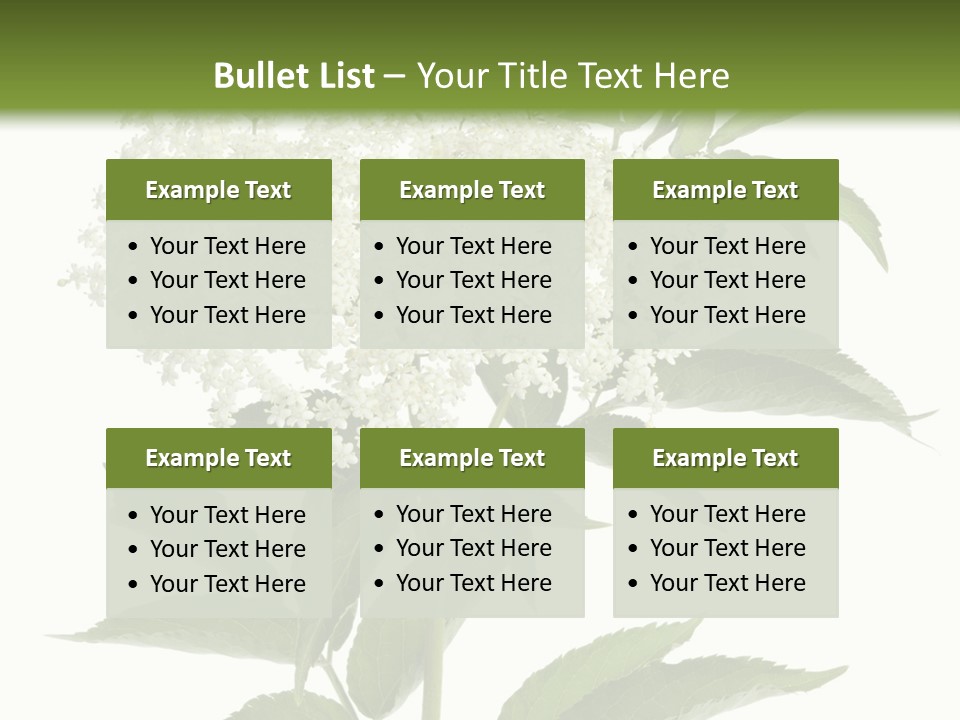 Nature Studio Sambucus Nigra PowerPoint Template