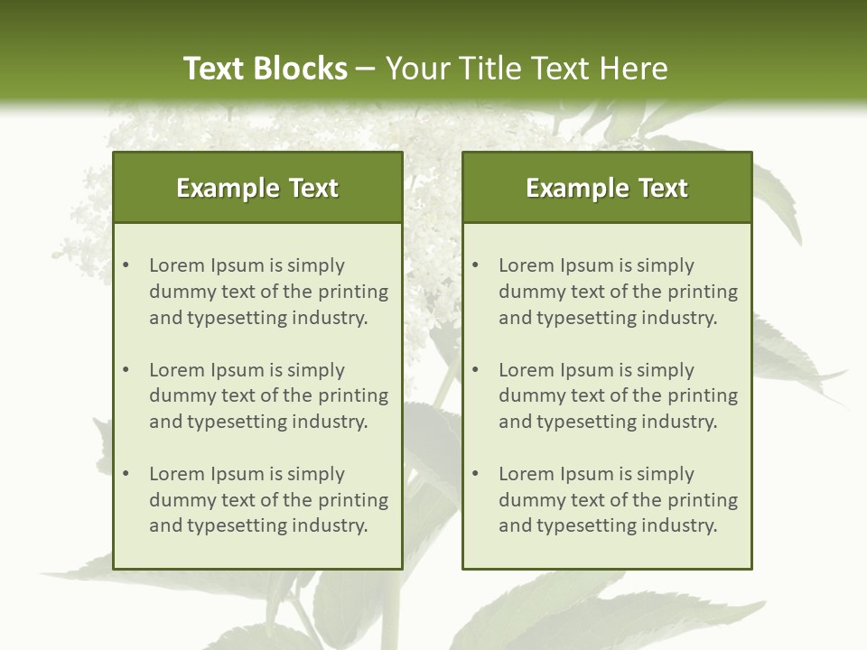 Nature Studio Sambucus Nigra PowerPoint Template