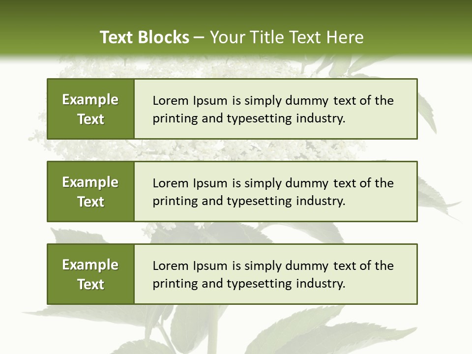 Nature Studio Sambucus Nigra PowerPoint Template
