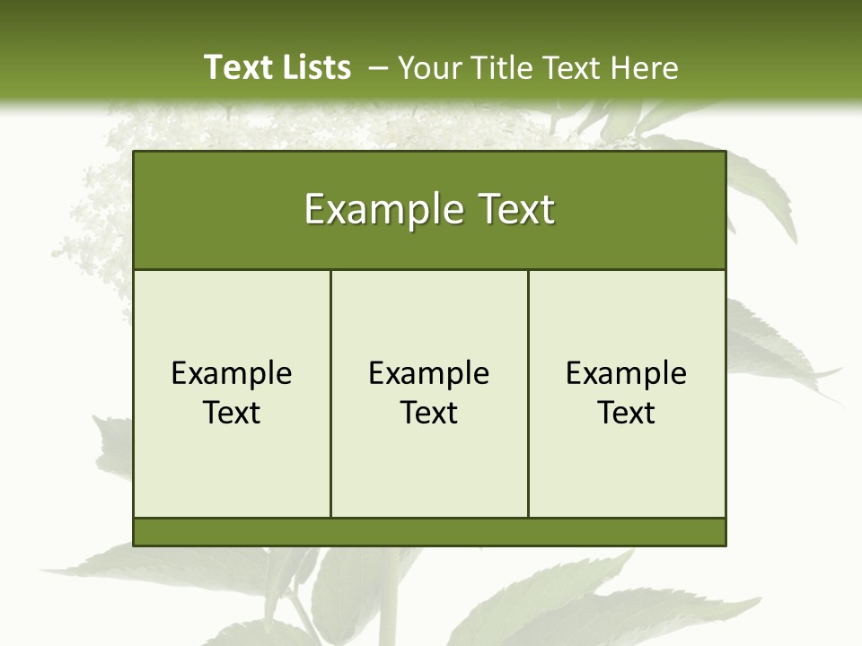 Nature Studio Sambucus Nigra PowerPoint Template
