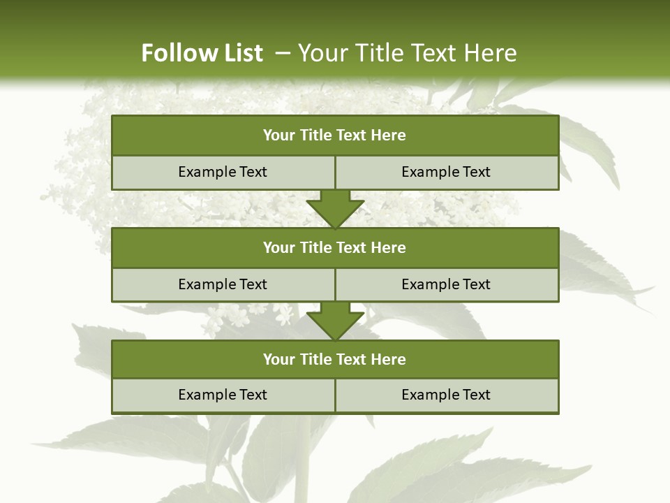 Nature Studio Sambucus Nigra PowerPoint Template