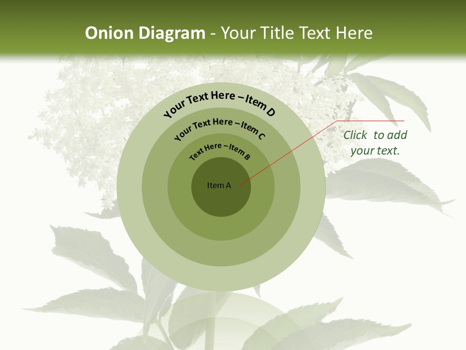 Nature Studio Sambucus Nigra PowerPoint Template