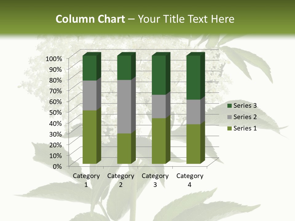 Nature Studio Sambucus Nigra PowerPoint Template