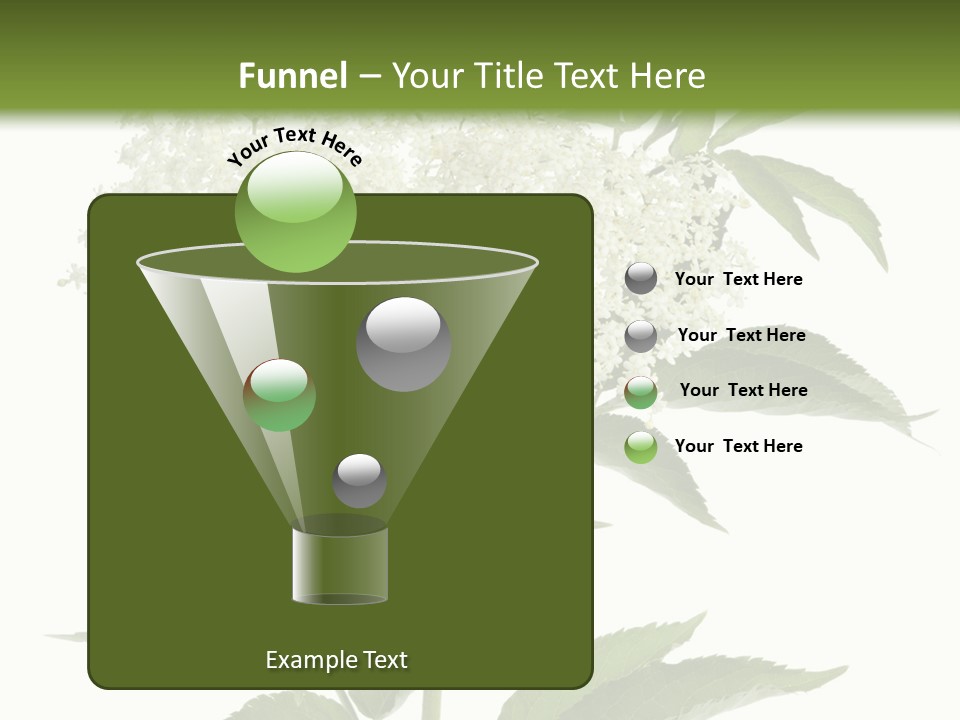 Nature Studio Sambucus Nigra PowerPoint Template