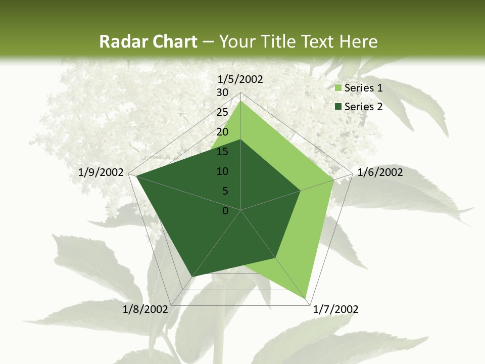 Nature Studio Sambucus Nigra PowerPoint Template