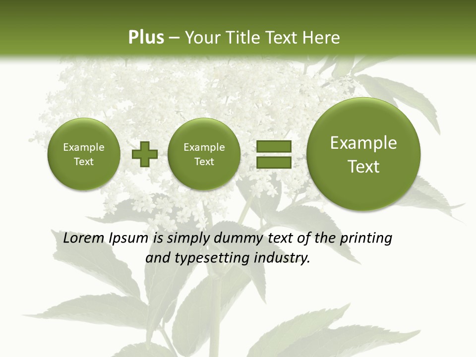 Nature Studio Sambucus Nigra PowerPoint Template