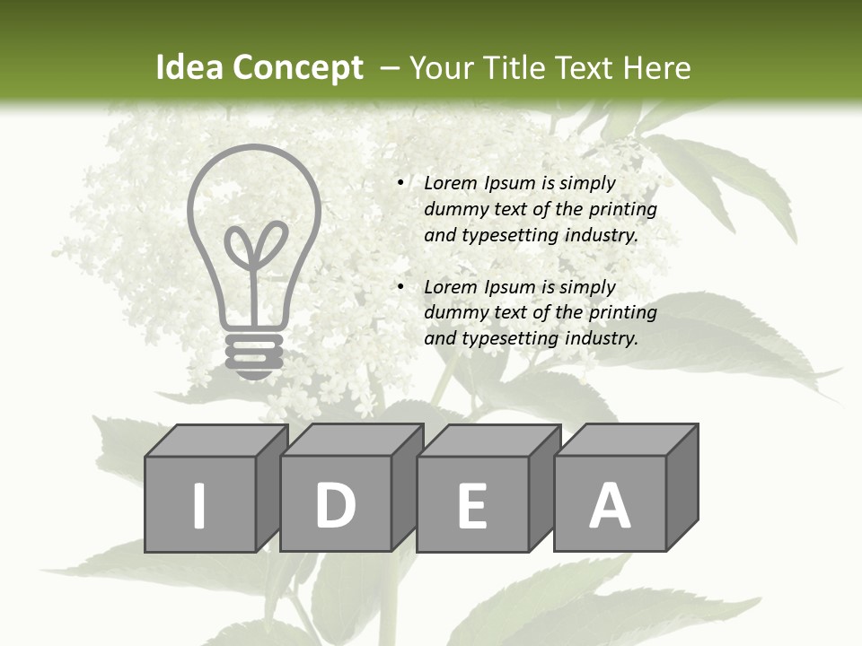 Nature Studio Sambucus Nigra PowerPoint Template