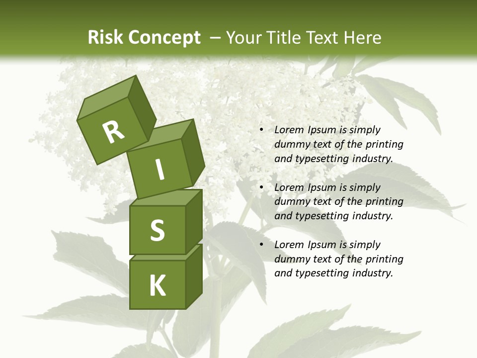 Nature Studio Sambucus Nigra PowerPoint Template