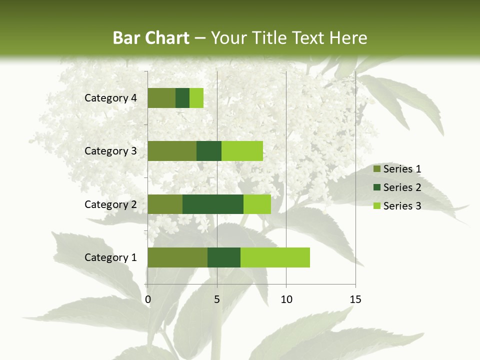 Nature Studio Sambucus Nigra PowerPoint Template