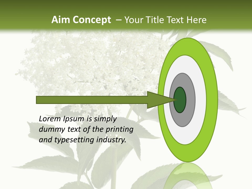 Nature Studio Sambucus Nigra PowerPoint Template