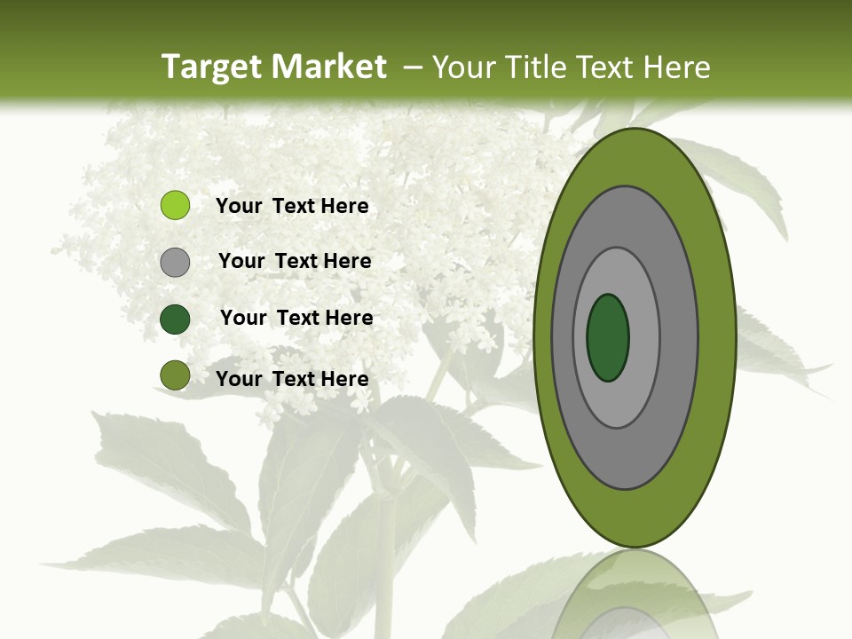 Nature Studio Sambucus Nigra PowerPoint Template