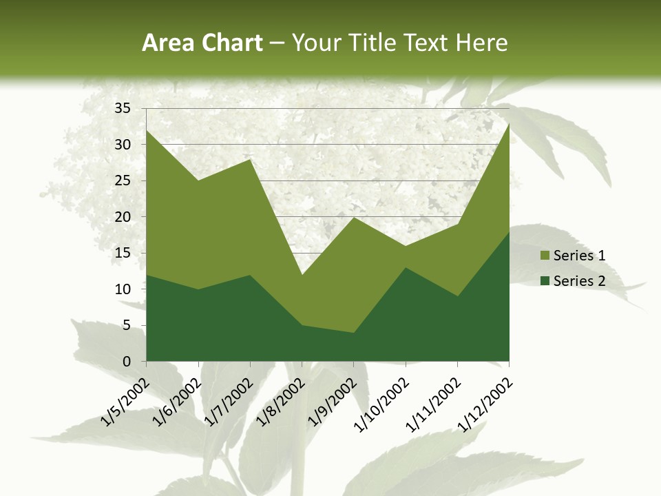 Nature Studio Sambucus Nigra PowerPoint Template
