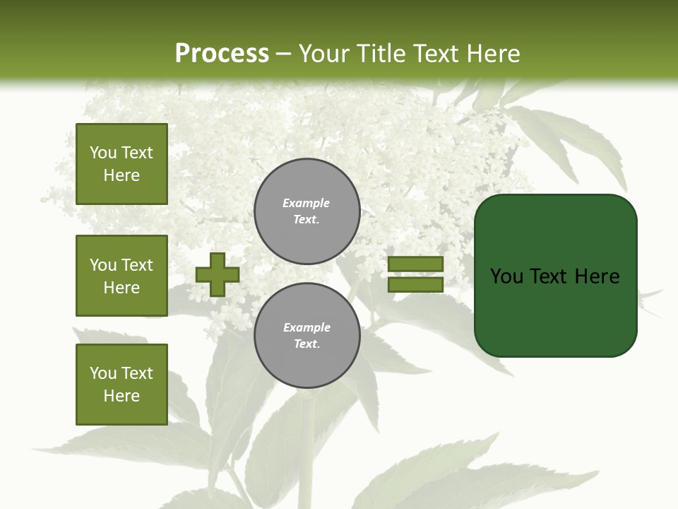 Nature Studio Sambucus Nigra PowerPoint Template