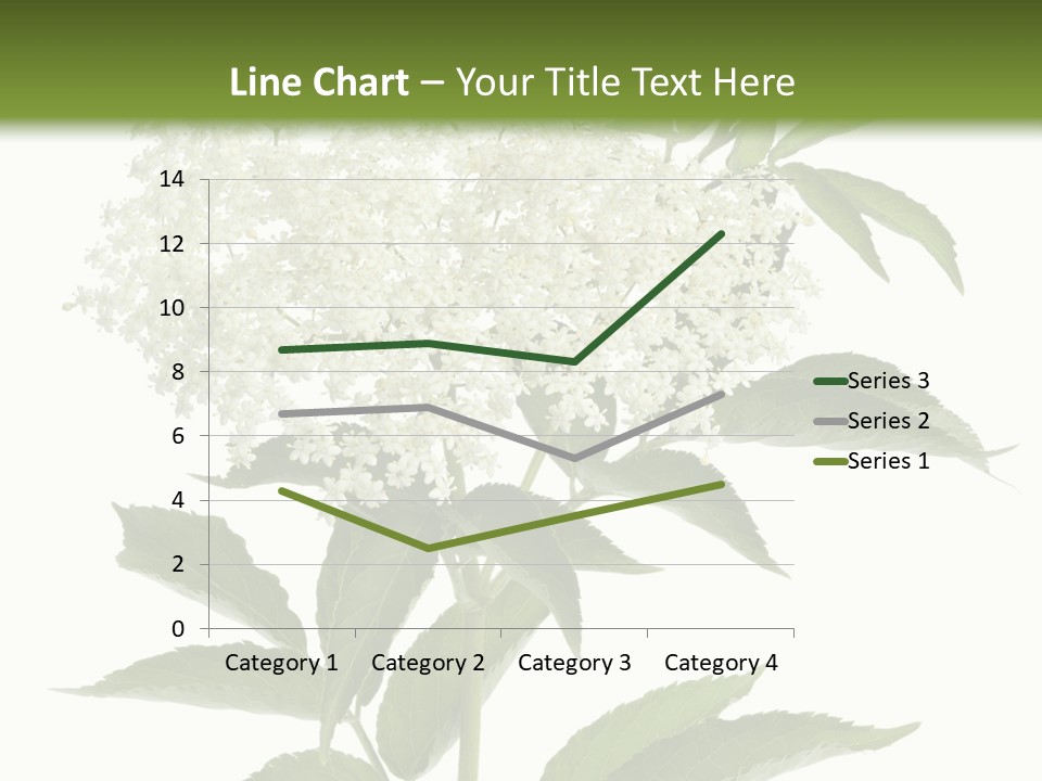 Nature Studio Sambucus Nigra PowerPoint Template