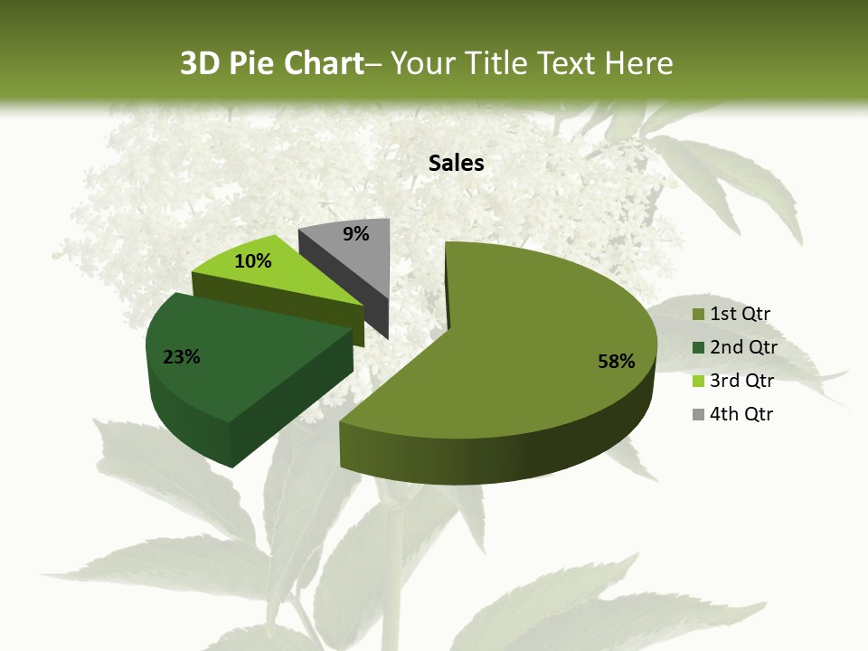 Nature Studio Sambucus Nigra PowerPoint Template