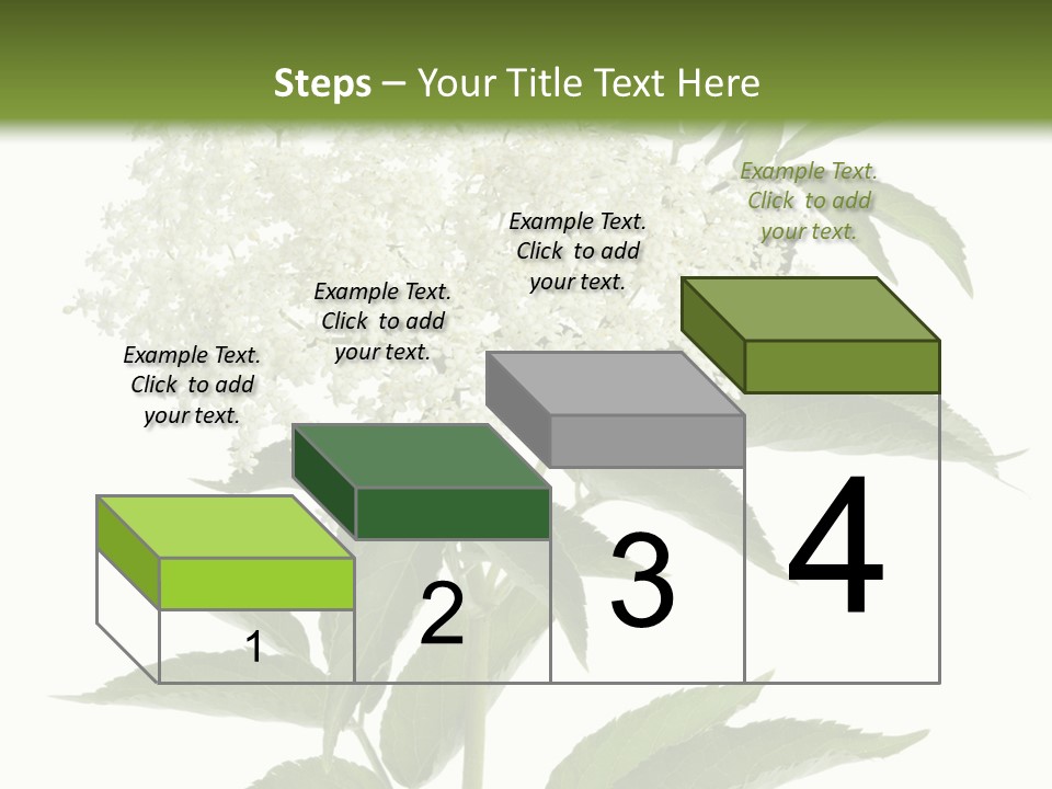 Nature Studio Sambucus Nigra PowerPoint Template