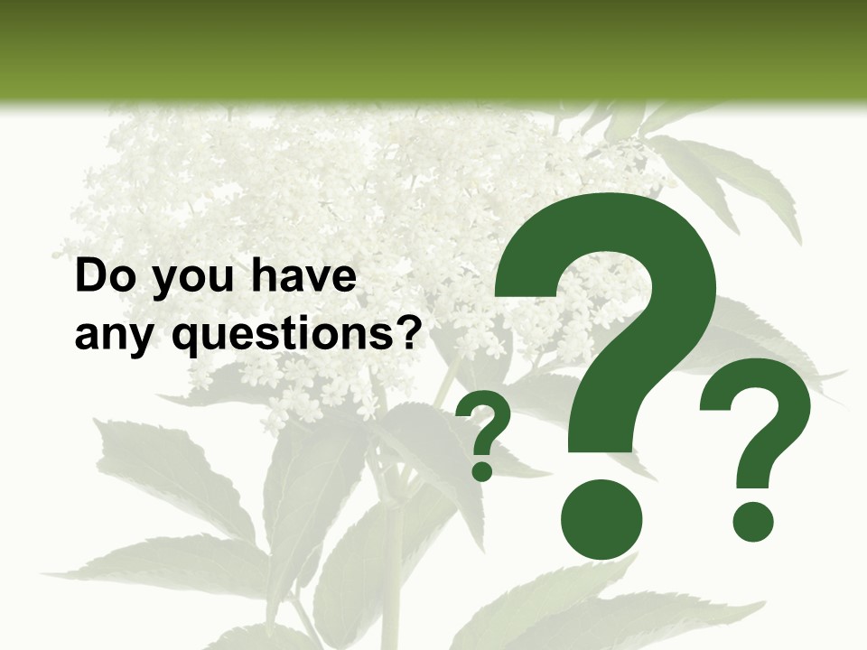 Nature Studio Sambucus Nigra PowerPoint Template