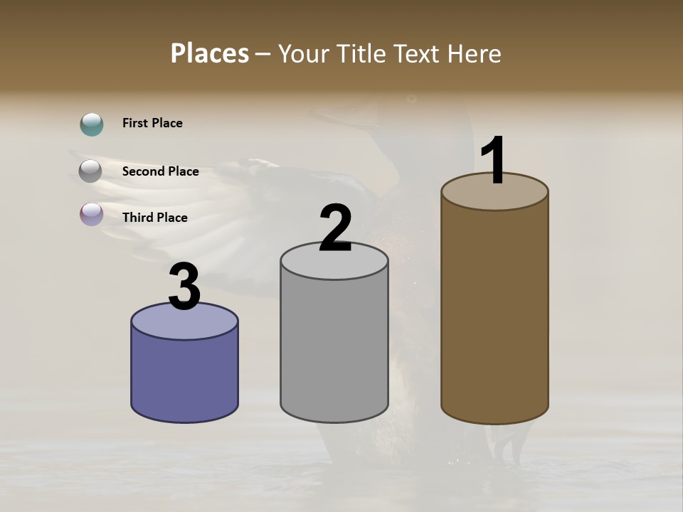 Duck Winged Bird PowerPoint Template