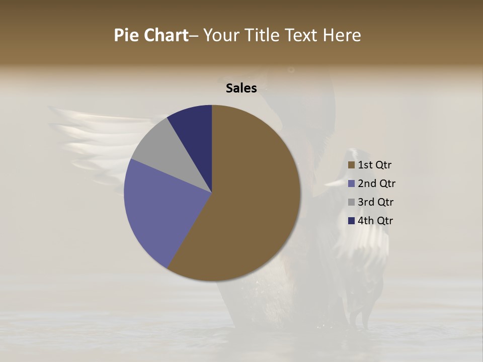 Duck Winged Bird PowerPoint Template
