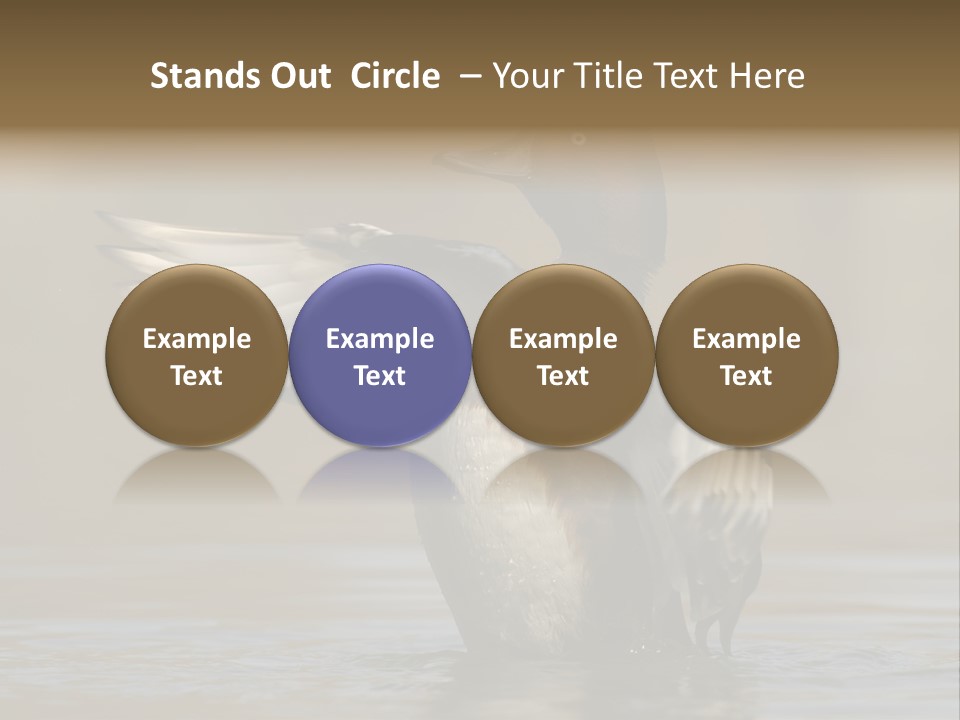 Duck Winged Bird PowerPoint Template