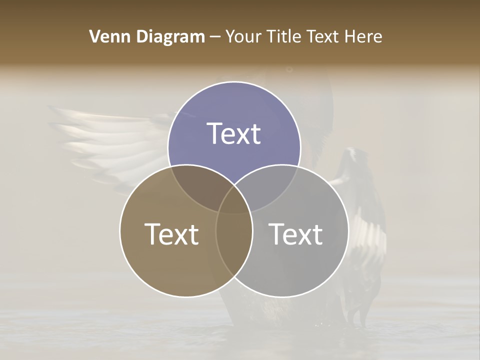 Duck Winged Bird PowerPoint Template