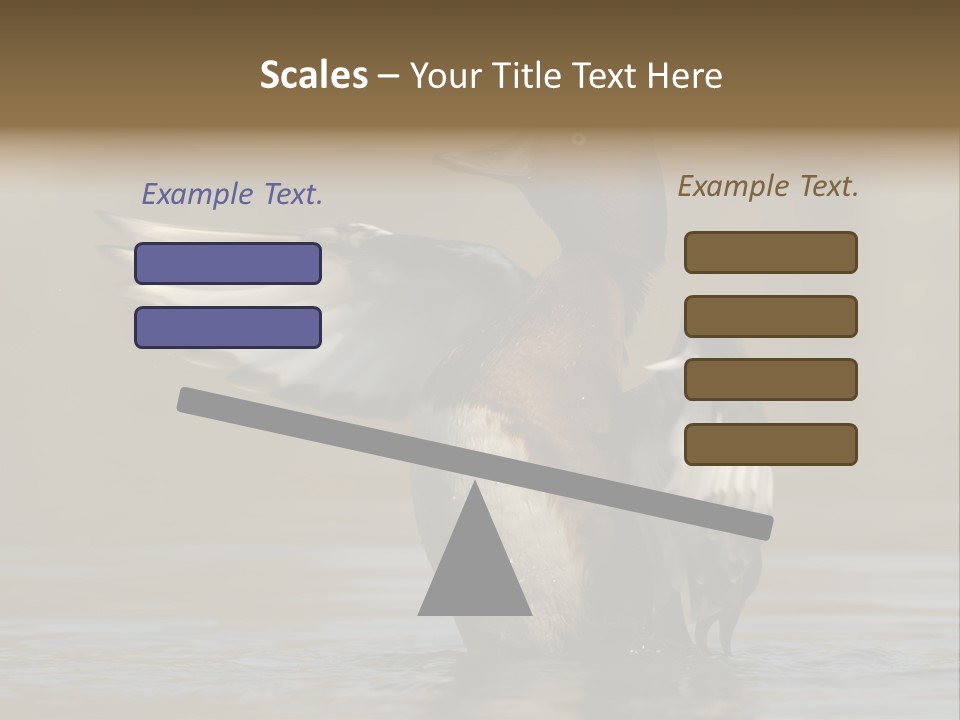 Duck Winged Bird PowerPoint Template