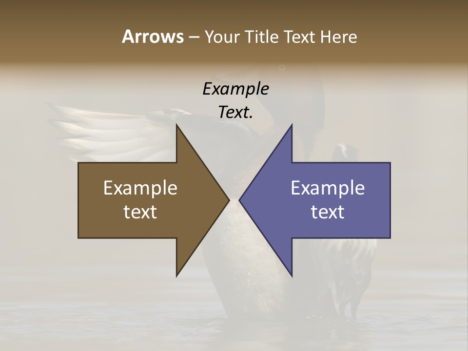 Duck Winged Bird PowerPoint Template