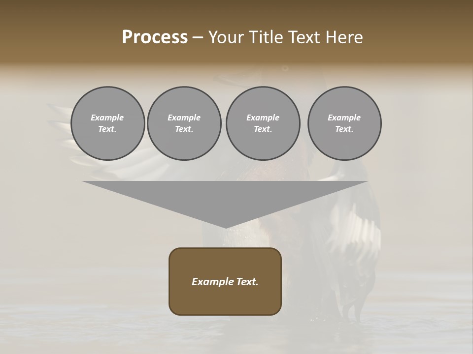 Duck Winged Bird PowerPoint Template