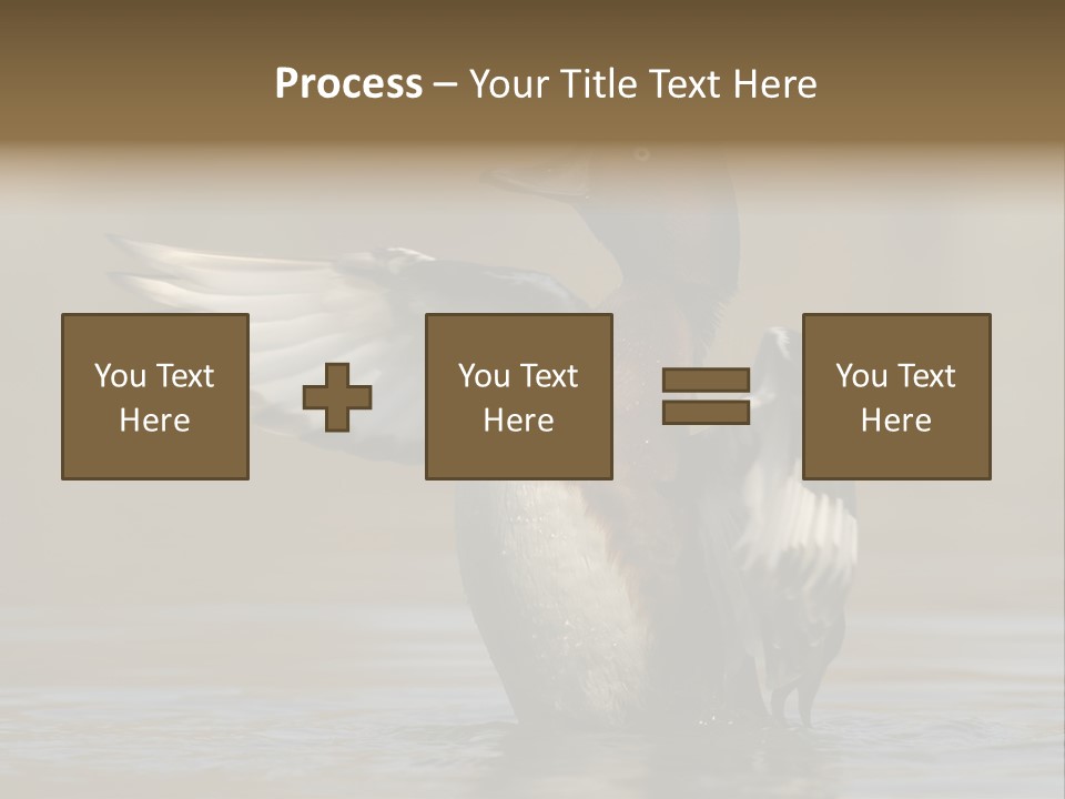 Duck Winged Bird PowerPoint Template