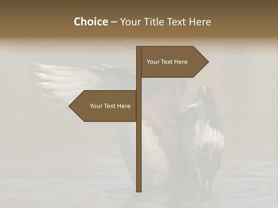 Duck Winged Bird PowerPoint Template