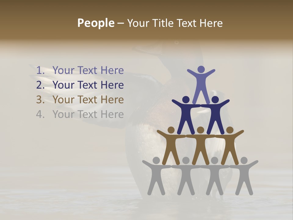 Duck Winged Bird PowerPoint Template