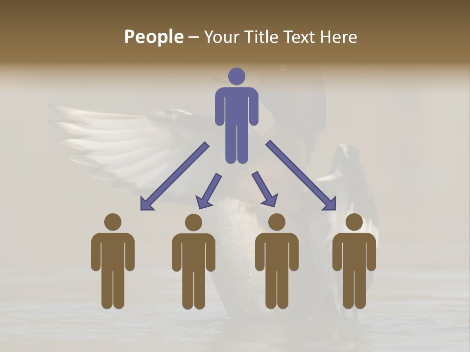 Duck Winged Bird PowerPoint Template