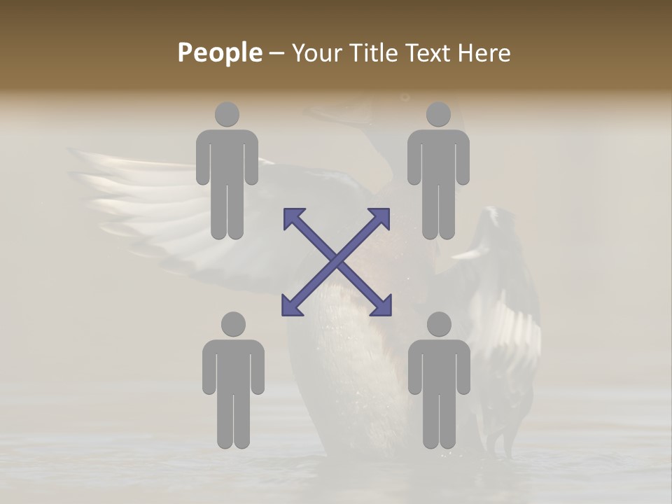 Duck Winged Bird PowerPoint Template