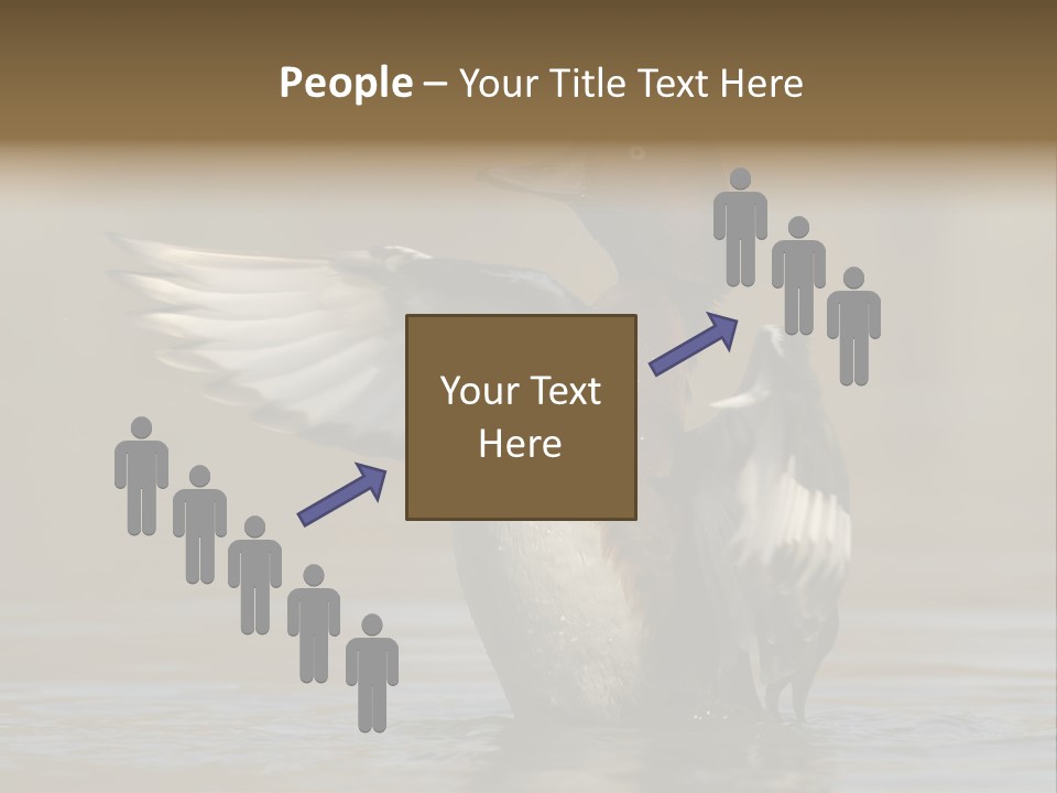 Duck Winged Bird PowerPoint Template
