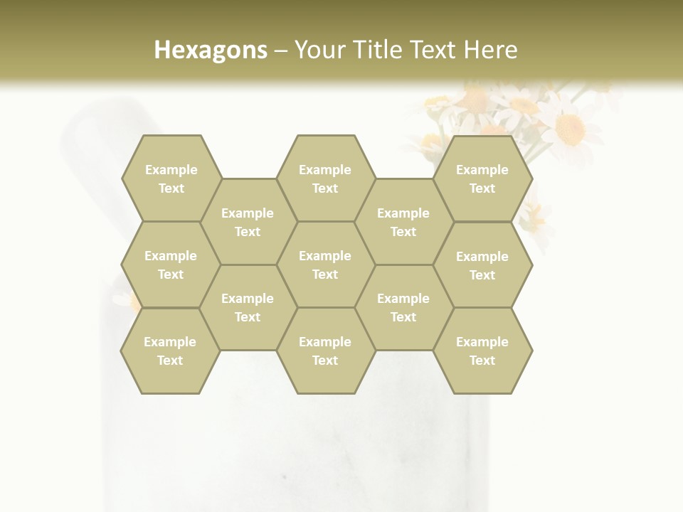 Brown Green Nature PowerPoint Template