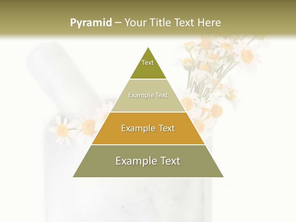 Brown Green Nature PowerPoint Template