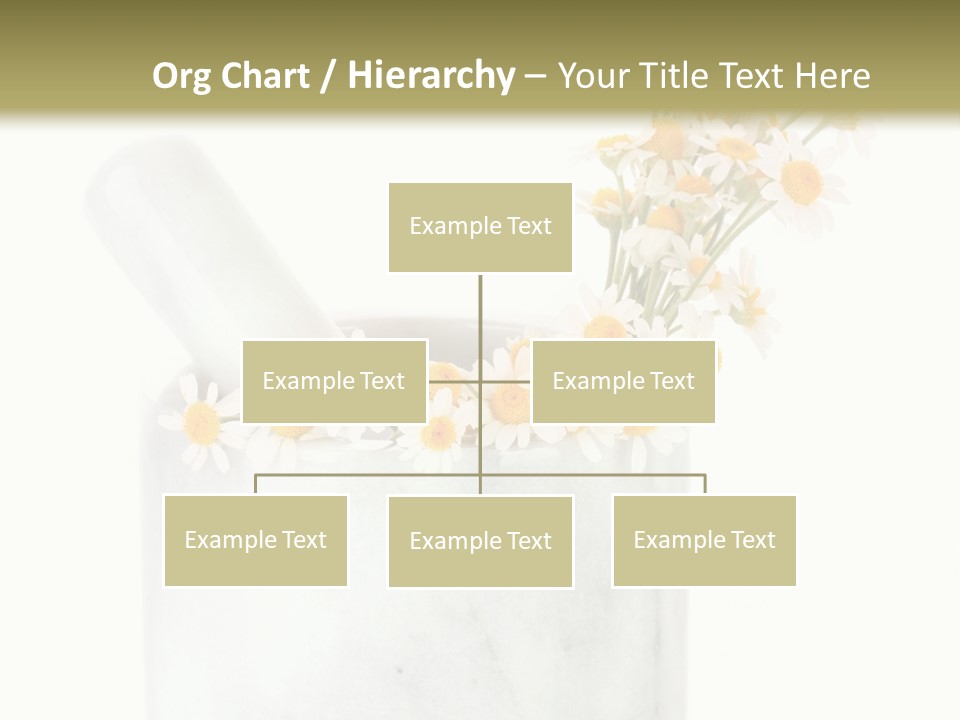 Brown Green Nature PowerPoint Template