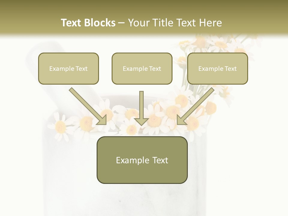 Brown Green Nature PowerPoint Template