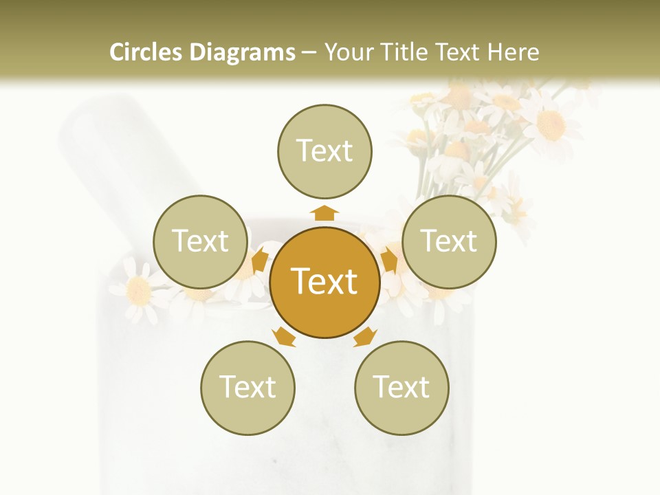 Brown Green Nature PowerPoint Template