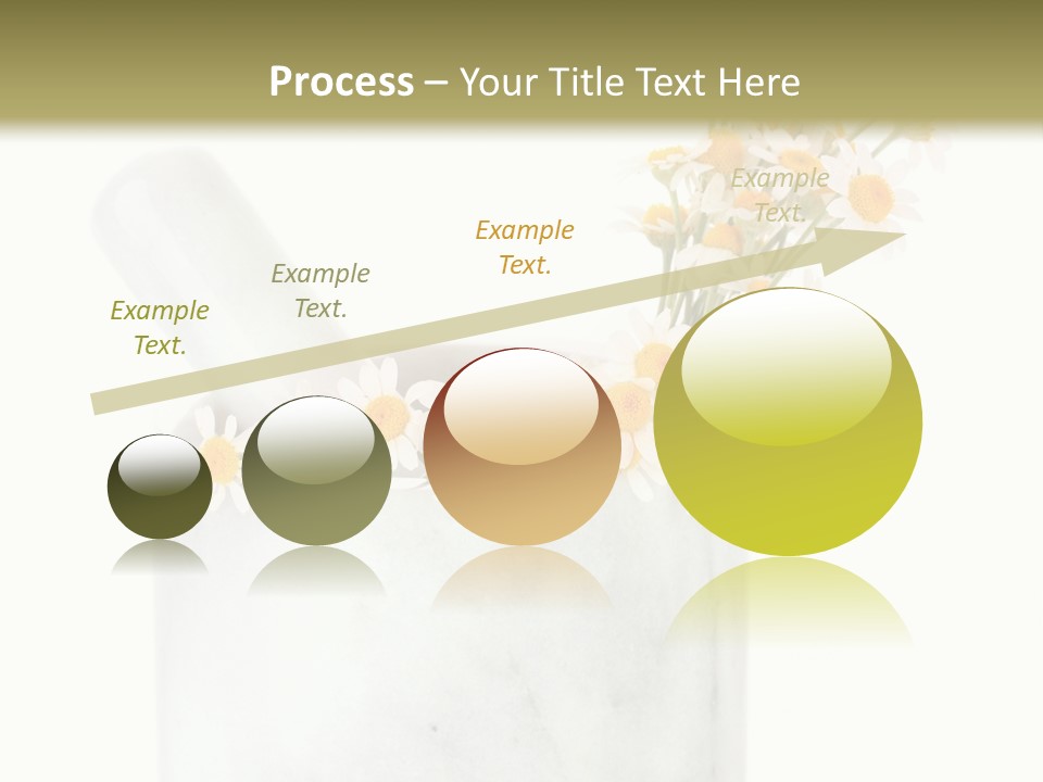 Brown Green Nature PowerPoint Template