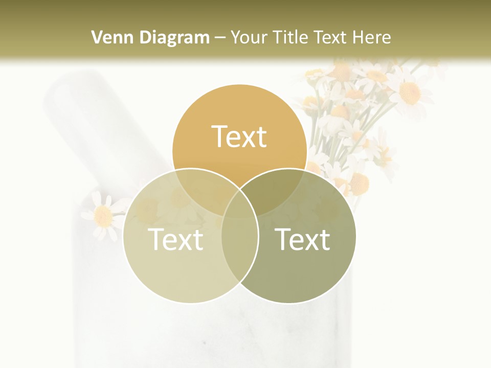 Brown Green Nature PowerPoint Template