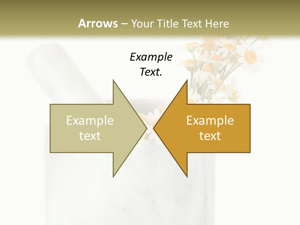 Brown Green Nature PowerPoint Template