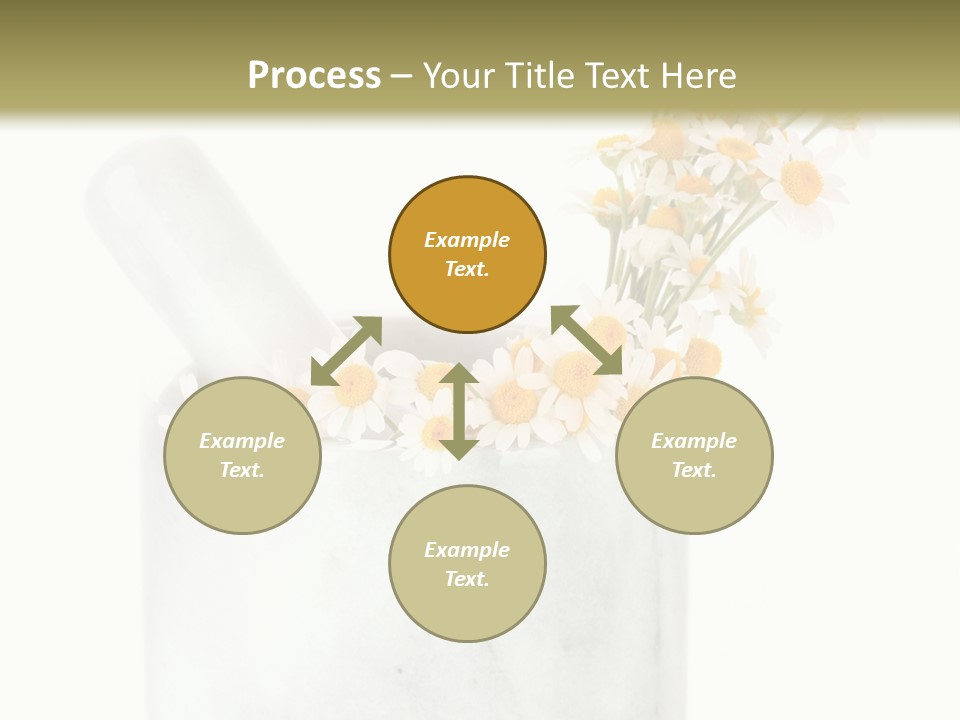 Brown Green Nature PowerPoint Template