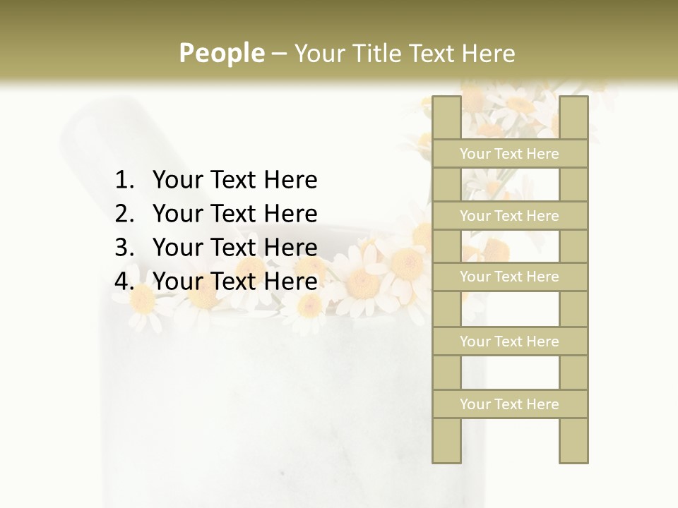 Brown Green Nature PowerPoint Template