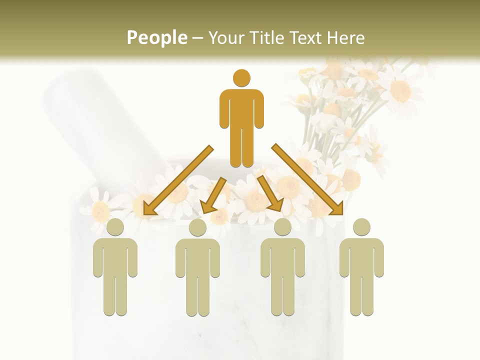 Brown Green Nature PowerPoint Template