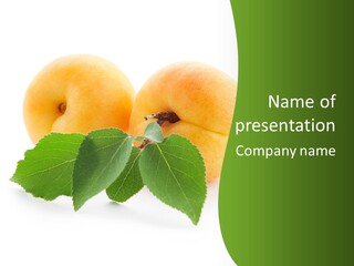 Spring Product Dessert PowerPoint Template