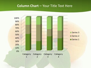 Spring Product Dessert PowerPoint Template