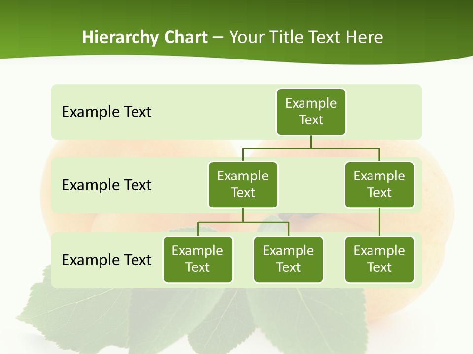 Spring Product Dessert PowerPoint Template
